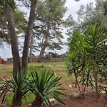 Apartment Zavala 8774B